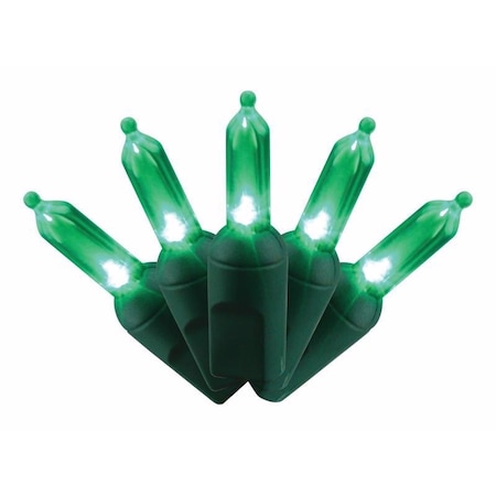 Celebrations Celebrations Platinum LED T5 Green 50 ct String Christmas Lights 25 ft. T550GR6A